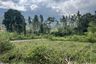 Land for sale in Maret, Surat Thani