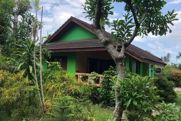 11 Bedroom Hotel / Resort for sale in Mae Nam, Surat Thani