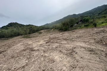 Land for sale in Mae Nam, Surat Thani
