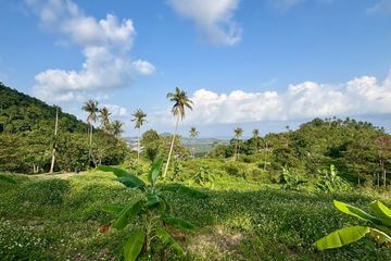 Land for sale in Bo Phut, Surat Thani