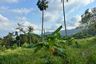 Land for sale in Bo Phut, Surat Thani
