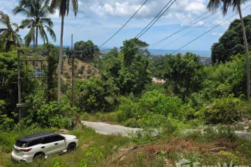 Land for sale in Bo Phut, Surat Thani