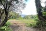 Land for sale in Samoeng Tai, Chiang Mai