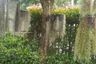 4 Bedroom House for sale in Laddarom Elegance, San Phi Suea, Chiang Mai
