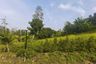 Land for sale in Bo Phut, Surat Thani