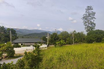 Land for sale in Bo Phut, Surat Thani