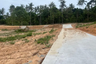 Land for sale in Mae Nam, Surat Thani