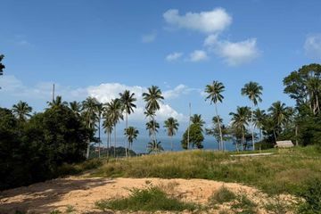 Land for sale in Mae Nam, Surat Thani