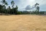 Land for sale in Mae Nam, Surat Thani