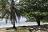 Land for sale in Ko Pha-ngan, Surat Thani