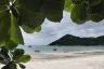 Land for sale in Ko Pha-ngan, Surat Thani