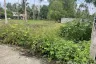 Land for sale in Mae Nam, Surat Thani