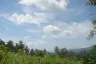 Land for sale in Taling Ngam, Surat Thani