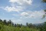 Land for sale in Taling Ngam, Surat Thani