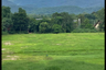Land for sale in Rim Tai, Chiang Mai