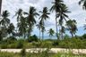 Land for sale in Mae Nam, Surat Thani