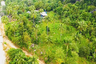 Land for sale in Ban Tai, Surat Thani
