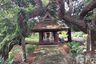 4 Bedroom House for sale in Mooban Wangtan, San Phak Wan, Chiang Mai