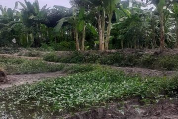 Land for sale in Lipa Noi, Surat Thani