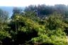 Land for sale in Kamala, Phuket