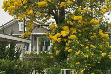 3 Bedroom House for sale in San Na Meng, Chiang Mai