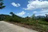 Land for sale in Lipa Noi, Surat Thani