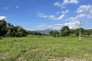 Land for sale in Huai Sai, Chiang Mai