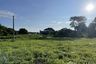 Land for sale in Huai Sai, Chiang Mai
