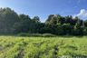 Land for sale in Huai Sai, Chiang Mai