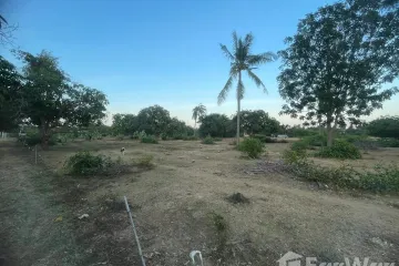 Land for sale in Sam Roi Yot, Prachuap Khiri Khan