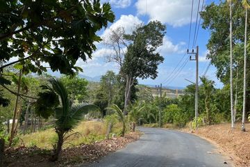 Land for sale in Choeng Thale, Phuket