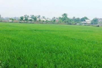 Land for sale in San Na Meng, Chiang Mai