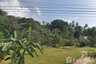 Land for sale in Ban Tai, Surat Thani