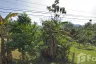 Land for sale in Ban Tai, Surat Thani