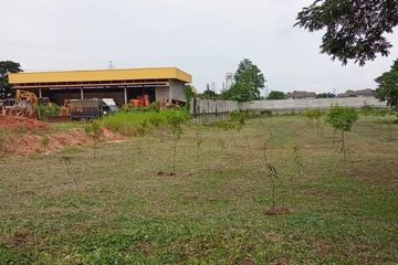 Land for sale in Tha Wang Tan, Chiang Mai