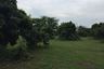 Land for sale in Tha Wang Phrao, Chiang Mai