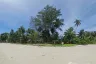 Land for sale in Lipa Noi, Surat Thani