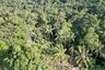 Land for sale in Mae Nam, Surat Thani