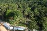 Land for sale in Mae Nam, Surat Thani