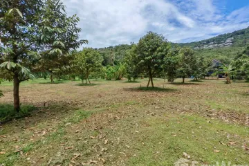 Land for sale in Mae Nam, Surat Thani