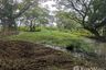 Land for sale in Tha Wang Tan, Chiang Mai