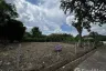 Land for sale in Nong Chom, Chiang Mai