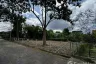 Land for sale in Nong Chom, Chiang Mai