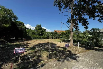 Land for sale in Nong Chom, Chiang Mai