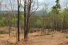 Land for sale in Huai Kaeo, Chiang Mai