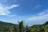 Land for sale in Ko Pha-ngan, Surat Thani