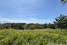 Land for sale in Ko Pha-ngan, Surat Thani