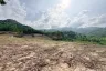 Land for sale in Mae Nam, Surat Thani
