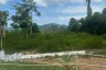 Land for sale in Lipa Noi, Surat Thani