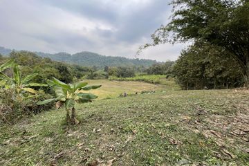Land for sale in Sop Poeng, Chiang Mai